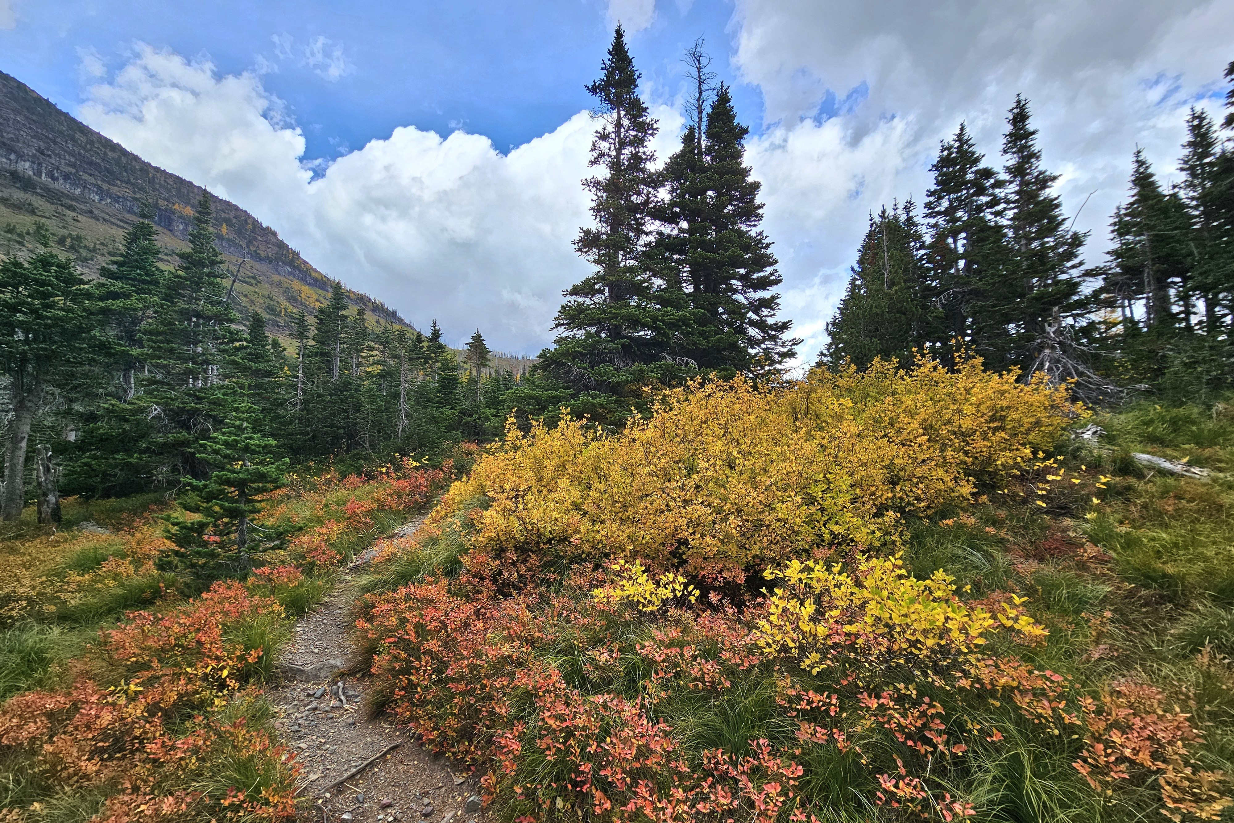 Forum Lake